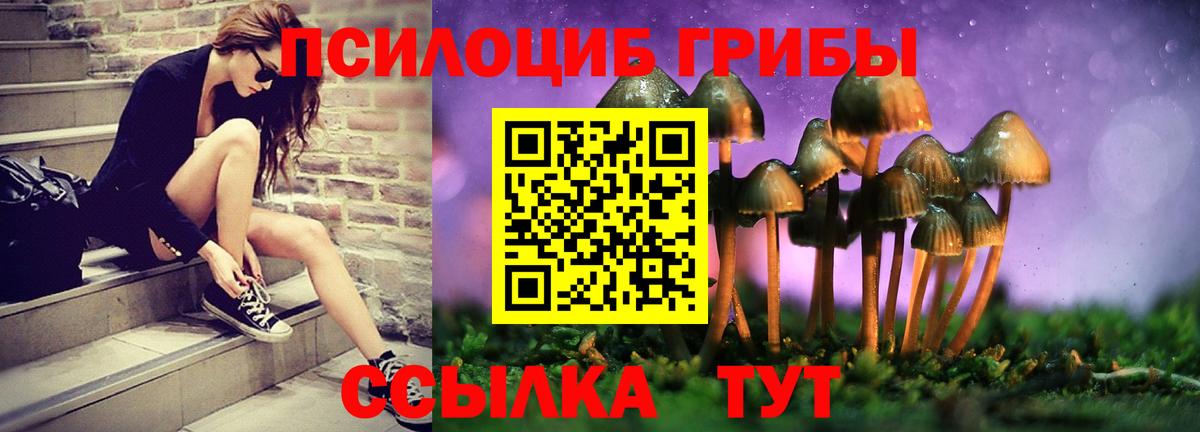 Галлюциногенные грибы Magic Shrooms  Псилоцибиновые грибы MAGIC MUSHROOMS  цена   Новый Уренгой  Вход с VPN 