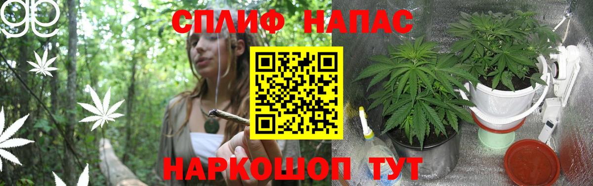 Шишки марихуана семена Новый Уренгой